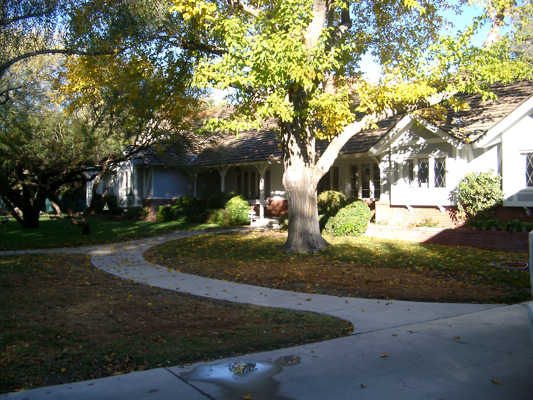 Picture 002